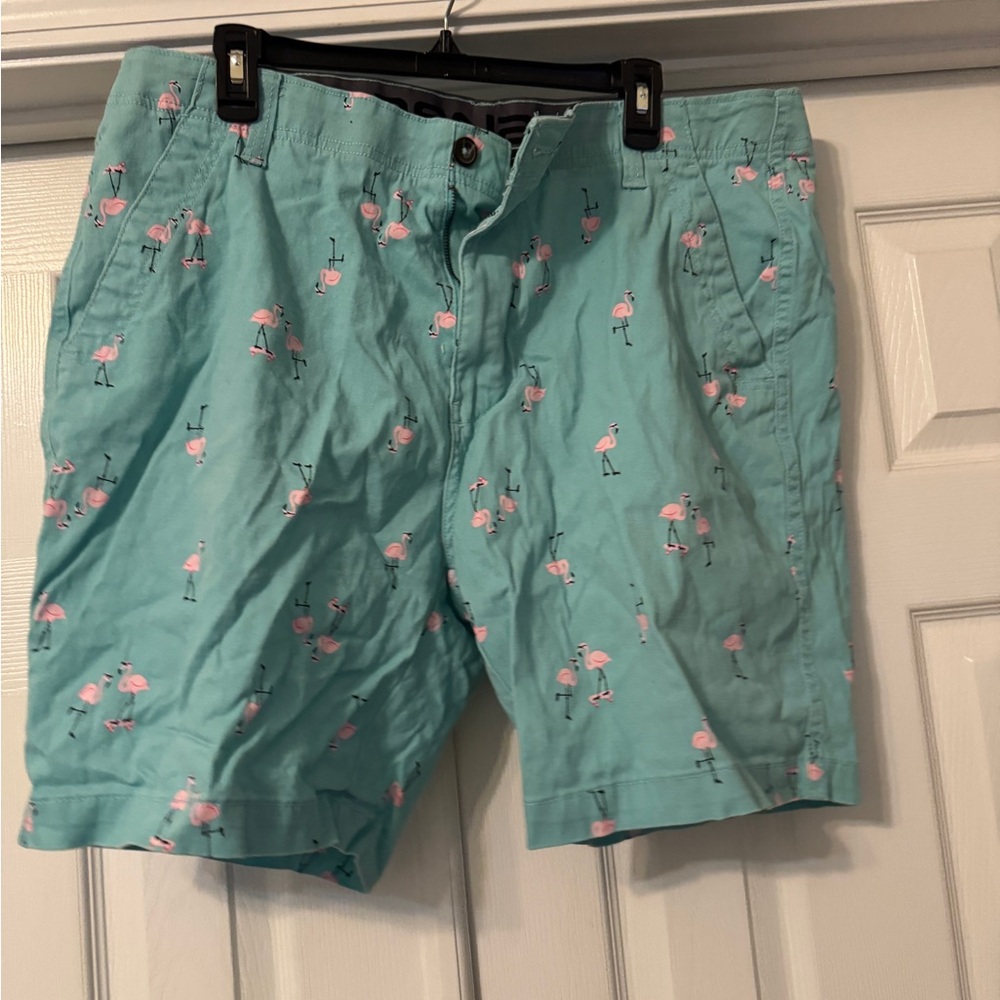 Flamingo printed Denali Flat Front Shorts Men